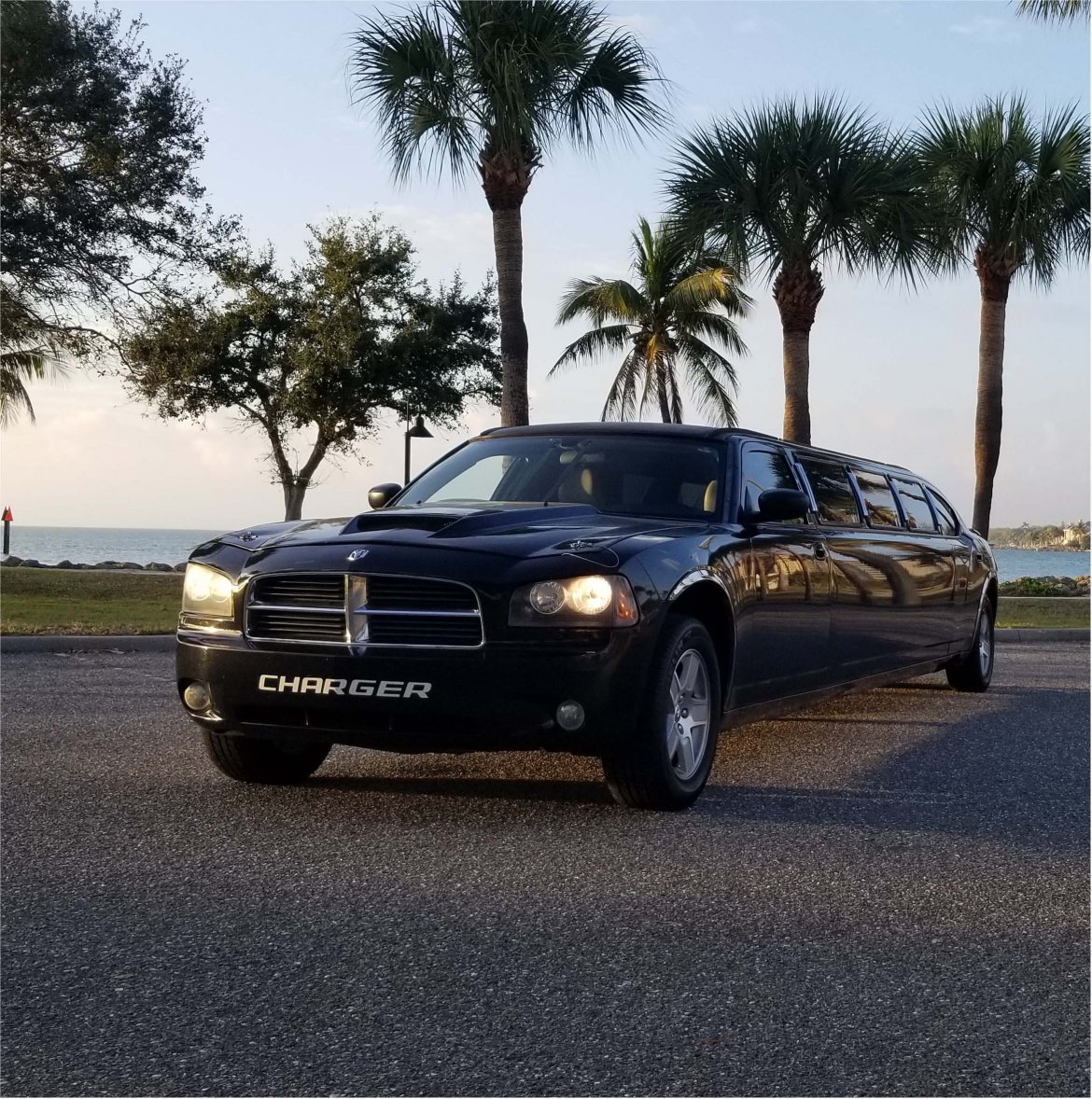 Limousine for sale: 2006 Dodge Charger by Custom Builder for Richard Petty