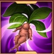 Mandrake Root